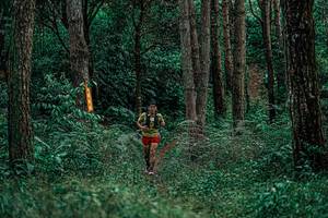 BIB: 
                            <button type="button" onclick="openModal(25237363)" class="btn btn-primary btn-sm float-right btn-popup" data-toggle="modal" data-target=".modal-high-quality">
                        <i class="fas fa-shopping-cart"></i> Add to Cart
                    </button>
                                            <button type="button" onclick="isThisMe(25237363, true)" class="btn btn-success btn-sm float-right btn-popup btn-isme hidden" data-toggle="tooltip" data-placement="bottom" title="นี่คือรูปของคุณใช่ไหม คลิกที่นี่เพื่อเอาเข้าอัลบั้ม">
                        <i class="fas fa-plus"></i> Add to album
                    </button>
                    <button type="button" onclick="isThisMe(25237363, false)" class="btn btn-warning btn-sm float-right btn-popup btn-isnotme hidden">
                        <i class="fas fa-ban"></i> Remove from album
                    </button>